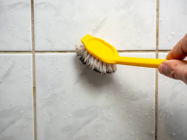 Reliable Leon, IA Mold Removal Solutions