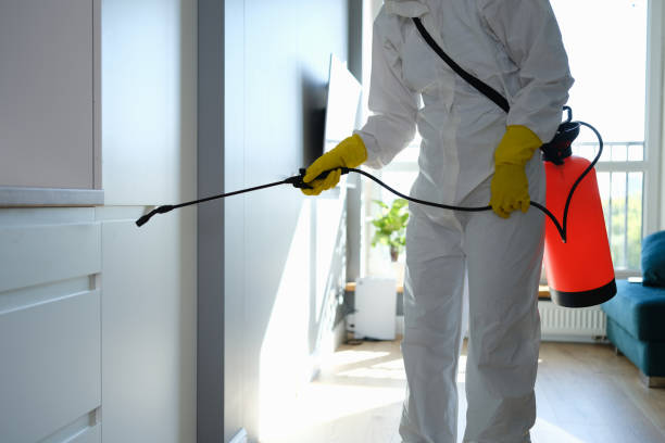 Best Professional Mold Removal  in Leon, IA